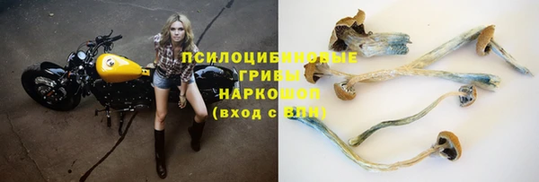 МДПВ Бугульма