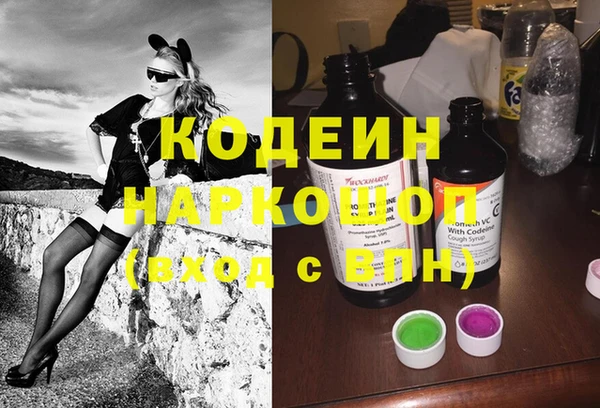 крисы Верхний Тагил