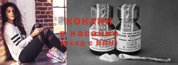 крисы Верхний Тагил