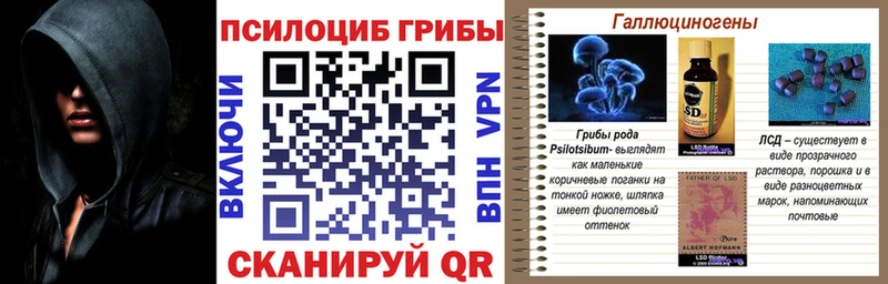 Галлюциногенные грибы Psilocybe  Купить  Ржев 
